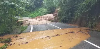 Artvin'in Arhavi İlçesinde Sağanak Nedeniyle Su Baskınları ve Heyelanlar