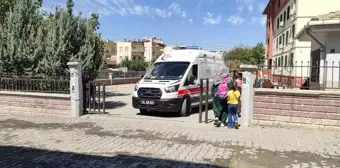 Şanlıurfa'da Öğrencilerin Doğum Gününde Pasta Zehirlenmesi