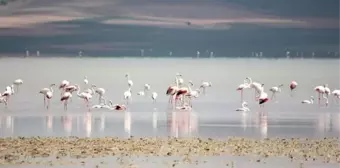 Kırşehir'i Koruma Platformu, Seyfe Gölü koruma alanının daraltılmasına tepki gösterdi