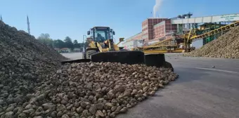 Amasya Şeker Fabrikası'ndan 71. Pancar Alım Kampanyası Töreni