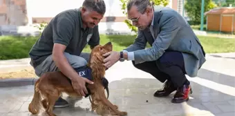 Erdal Beşikçioğlu, eğitimleri tamamlanan 5 sokak köpeğini belediye bünyesine aldı