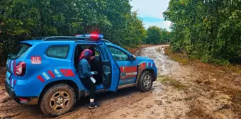 Tekirdağ'da Mantar Toplayan Çift Kayboldu, Bulundu