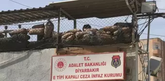 Diyarbakır Cezaevi Davasında Zaman Aşımı: Yargıtay Kararından Sonrası