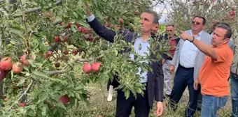 Isparta'da Dolu Felaketi: 16 Bin Dekar Elma Bahçesi Zarar Gördü