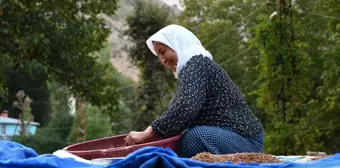 Şırnak'ta Aile Sumağı Kurutup Satıyor