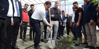 Hatay'da Yeni Muz Serası Açıldı