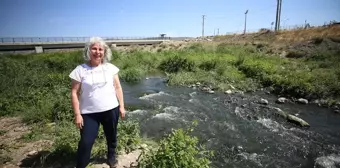 Yılan Balığı Neslinin Devamı İçin Akarsuların Korunması Çağrısı