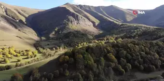 Artvin'in Zekerya Köyü'nde Sonbahar Erken Başlıyor