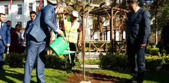 Bakan Vedat Işıkhan Bilecik'te Çınar Fidanı Dikti