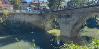 Bartın Irmağı'nda Balık Ölümleri Tedirginlik Yarattı