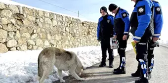 Yüksekova'nın Sevilen Başkomiseri Selman Beğde Tayin Oldu