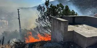 Söke'de Otluk Alanda Çıkan Yangın Ahıra Sıçradı