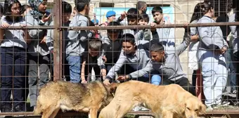 Bitlis Belediyesi'nden 4 Ekim Hayvanları Koruma Günü Etkinliği