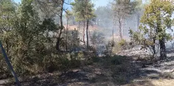 Bolu Göynük'te Yangın Kontrol Altına Alındı