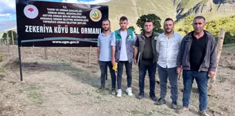 Artvin'in Zekeriya Köyünde Değerli Bal Üretimi Artıyor