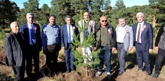 Kars'ta Sarıkamış ve Çanakkale şehitleri anısına hatıra ormanı oluşturuldu