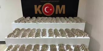 Elazığ'da Sahte Para Operasyonu: 700 Bin TL Değerinde Dolar Ele Geçirildi