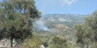 Muğla'da Tarım Alanında Başlayan Yangın Makiliğe Sıçradı