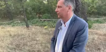 CHP'li Ceylan'dan Cengiz Holding'e Ağaç Kesimi Tepkisi