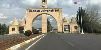 Harran Üniversitesi'ni karıştıran fuhuş iddiası