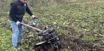 Ardahan'da Kekik Üretimi ile Tarımsal Çeşitlilik Artıyor