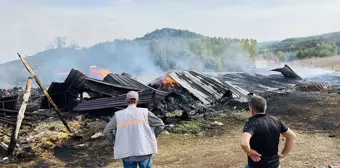 Çanakkale'de Samanlıkta Yangın: Bin Balya Saman Zarar Gördü