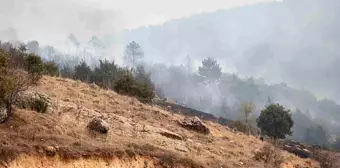 Afyonkarahisar'da Orman Yangını Çıktı