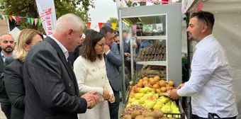 Subaşı'nda 11. Kivi Festivali Coşkuyla Kutlandı