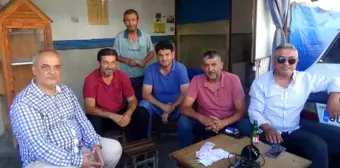 Osmaniye'de Esnafın Yardımıyla Yaralı Kedi Tedavi Edildi