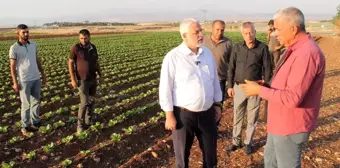 Adıyaman'da Çiftçilere Üç Ürün İmkanı