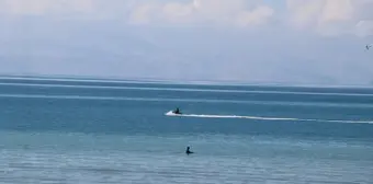 Van'da Kayıp Üniversite Öğrencisi Rojin Kabaiş İçin Arama Çalışmaları 17. Günde Devam Ediyor