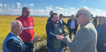 Çanakkale Biga'da Dolu Yağışı Sonrası Tarım Arazilerinde Büyük Zarar