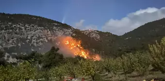 İzmir Kemalpaşa'da Orman Yangını Kontrol Altına Alındı