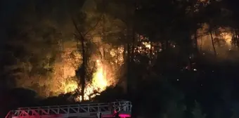 Muğla'da Orman Yangını Başladı