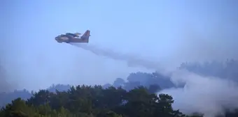 Muğla'da Orman Yangınına Hava ve Karadan Müdahele