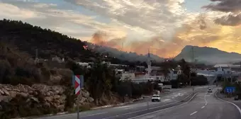 Mersin'de Orman Yangını Kontrol Altına Alındı