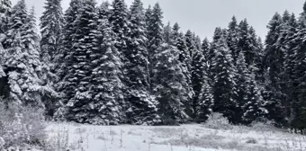 Bolu'nun Yüksek Kesimlerinde Kar Yağışı