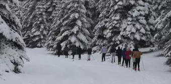 Bolu'da Kayaklı Koşu Sporcuları Karla Antrenmanlara Başladı