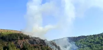 Hatay'da Orman Yangını Kontrol Altına Alındı