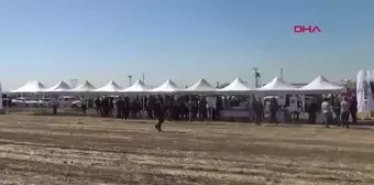 Silopi'de Yer Fıstığı Hasat Şenliği Düzenlendi