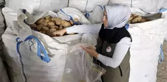 Afyonkarahisar'dan Tunus'a 132 Ton Patates İhracatı