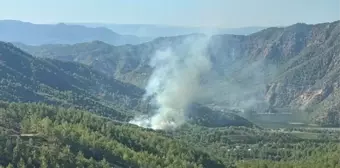 Muğla'nın Dalaman İlçesinde Orman Yangını Çıktı