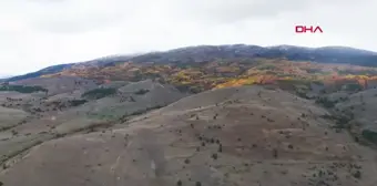 Erzincan Dağları Sonbahar Güzellikleriyle Büyülüyor