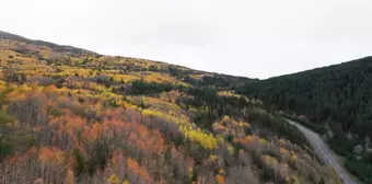 Sonbahar Güzelliği Erzincan Dağlarında