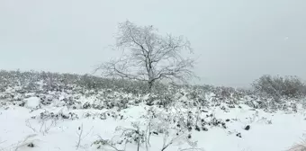 Ordu'da Kar Yağışı Hayatı Olumsuz Etkiliyor