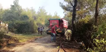 Osmaniye'de Orman Yangını