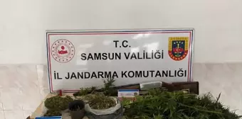 Bafra'da Uyuşturucu Operasyonu: 1 Kişi Tutuklandı