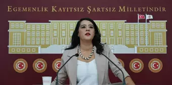 EMEP Milletvekili Demir: Demokrasi ve barış halk güçleriyle gelecektir