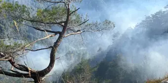 Hatay'da Amanoslar'daki Orman Yangını 28 Saatte Kontrol Altına Alındı