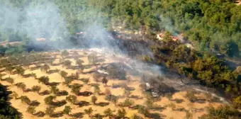 İzmir'de Ziraat Arazisinde Çıkan Yangın Kontrol Altına Alındı